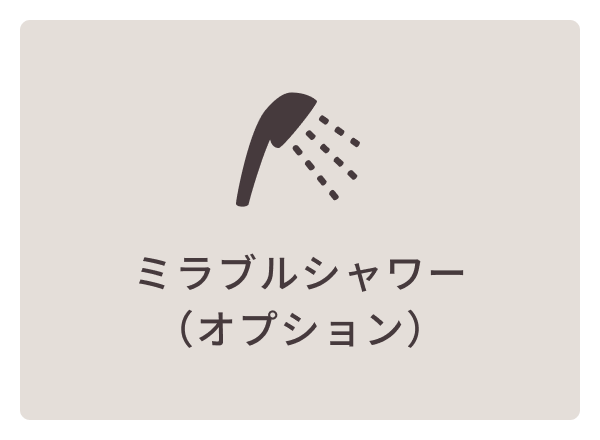ミラブルシャワー（オプション）