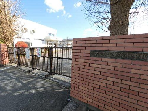市原小学校　徒歩約11分(850m)