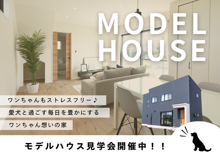 【わんこと暮らす家】<br>わんちゃんのための工夫がいっぱい！<br> モデルハウス見学会 アイチャッチ
